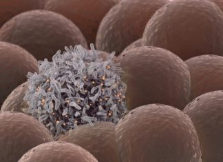 100% Effective Cure For Cancer By "MuTaTo" Claims Israeli Scientists