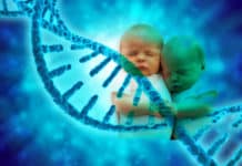 China’s CRISPR Twins – First MetaHumans With An Enhanced Brain? China's CRISPR Twins - First MetaHumans With An Enhanced Brain?