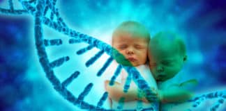 China's CRISPR Twins - First MetaHumans With An Enhanced Brain?