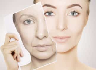 Novel Gene Editing Therapy To Reverse Ageing By Salk Institute Scientists