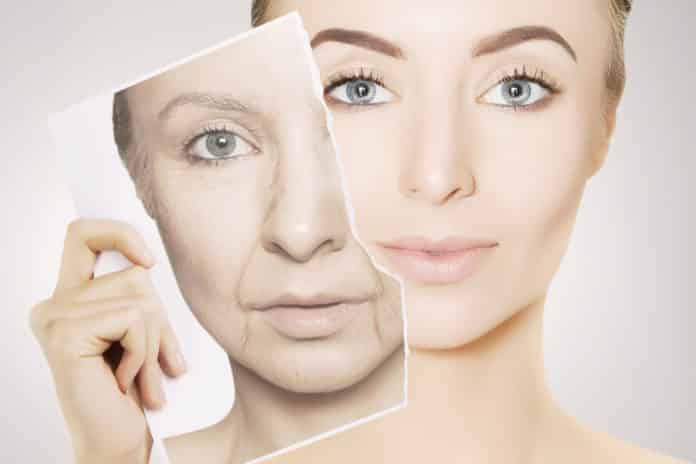 Novel Gene Editing Therapy To Reverse Ageing By Salk Institute Scientists