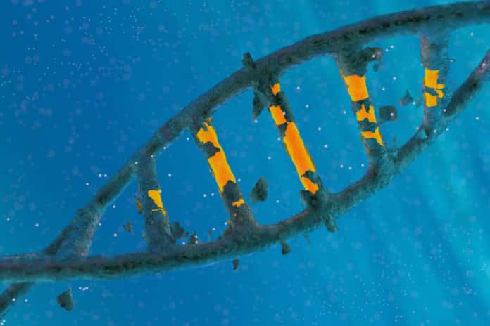 First CRISPR Patent in U.S Goes To MilliporeSigma