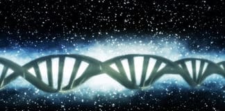 "Hachimoji Alien DNA" - Genetic Code Expanded From Four To Eight