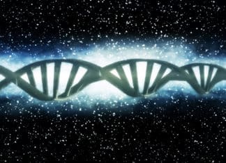 "Hachimoji Alien DNA" - Genetic Code Expanded From Four To Eight