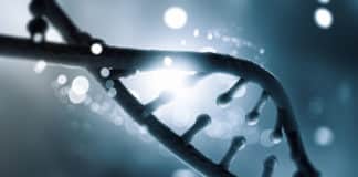 New Gene Editing Record Made With 13200 Edits In Single Human Cell