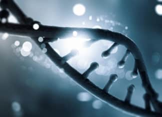 New Gene Editing Record Made With 13200 Edits In Single Human Cell