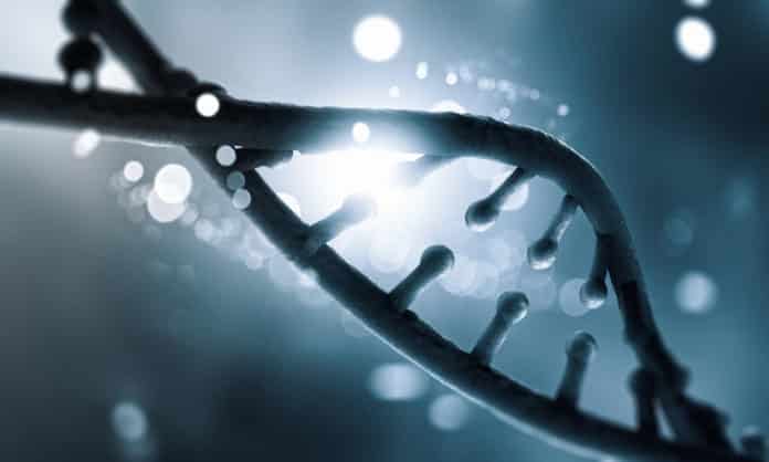 New Gene Editing Record Made With 13200 Edits In Single Human Cell