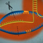 Beam Therapeutics - Gene Editing Startup Bags $135M