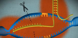 Beam Therapeutics - Gene Editing Startup Bags $135M