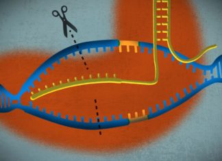 Beam Therapeutics - Gene Editing Startup Bags $135M