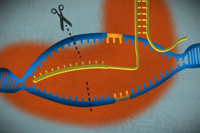 Beam Therapeutics - Gene Editing Startup Bags $135M