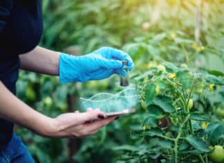 Boyce Thompson Institute launches Plant Genome Editing Database