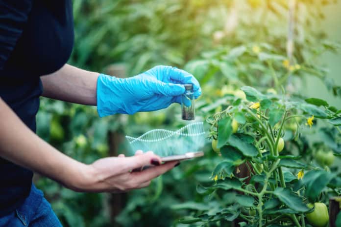 Boyce Thompson Institute launches Plant Genome Editing Database