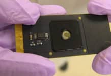 CRISPR Powered e-Transistors For Quick Genetic Mutation Detection