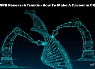 CRISPR Research Trends & How to Build A Successful Career in CRISPR