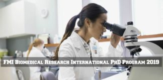 FMI International PhD Program 2019