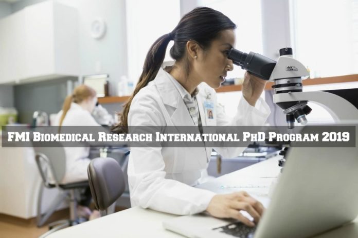 FMI International PhD Program 2019