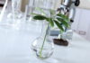 Research Job Openings @ ICAR – Central Soil Salinity Research Institute ICAR - NBPGR JRF Jobs 2019