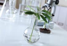 Research Job Openings @ ICAR – Central Soil Salinity Research Institute ICAR - NBPGR JRF Jobs 2019