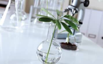 Research Job Openings @ ICAR – Central Soil Salinity Research Institute ICAR - NBPGR JRF Jobs 2019