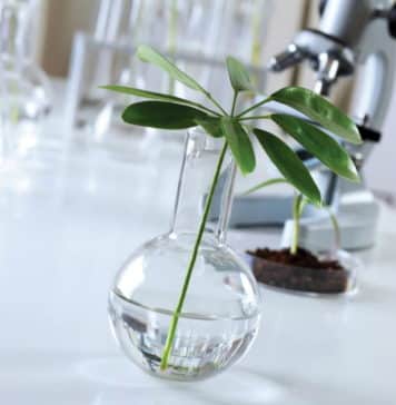 ICAR - NBPGR JRF Jobs 2019