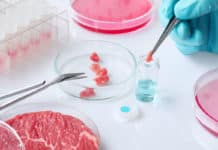 Lab-Grown Meat Created Using Tissue Engineering