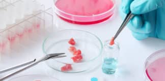 Lab-Grown Meat Created Using Tissue Engineering