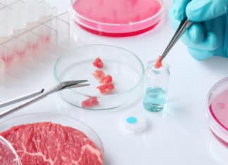 Lab-Grown Meat Created Using Tissue Engineering