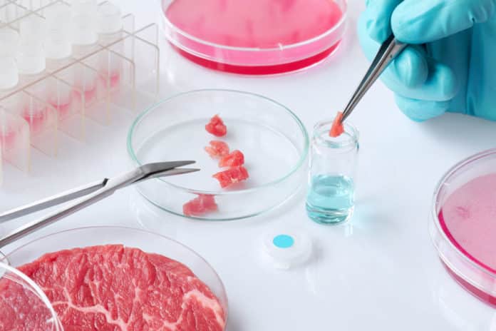 Lab-Grown Meat Created Using Tissue Engineering