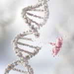 Mini DNA Reader For Progressive Development of Anticancer Drugs