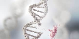 Mini DNA Reader For Progressive Development of Anticancer Drugs