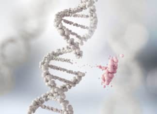 Mini DNA Reader For Progressive Development of Anticancer Drugs