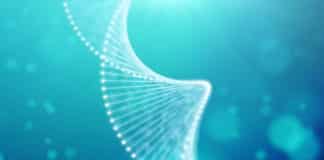 New Cloning Technique By University of Bayreuth Researchers