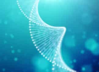 New Cloning Technique By University of Bayreuth Researchers