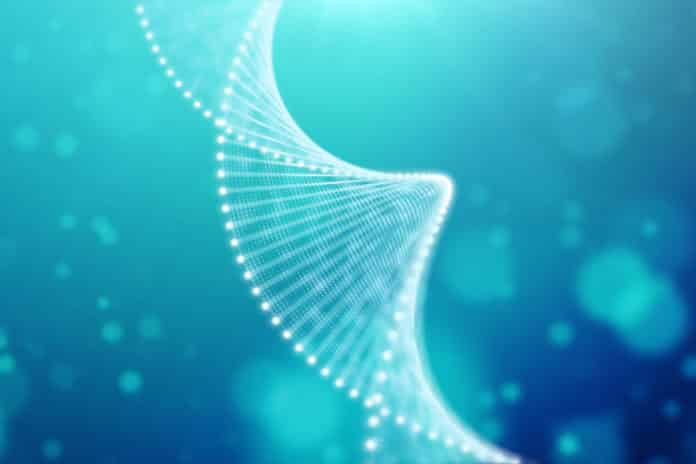 New Cloning Technique By University of Bayreuth Researchers