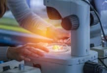 New Tool By MIT & Harvard For Viewing Cellular Organization of Tissues New Tool By MIT & Harvard For Viewing Cellular Organization of Tissues