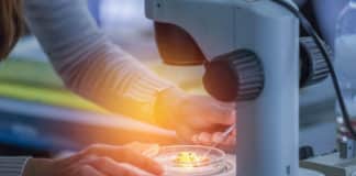 New Tool By MIT & Harvard For Viewing Cellular Organization of Tissues