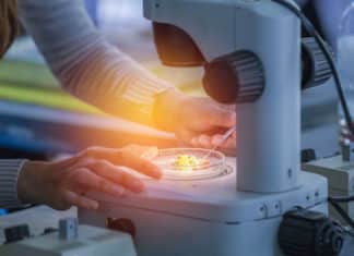 New Tool By MIT & Harvard For Viewing Cellular Organization of Tissues