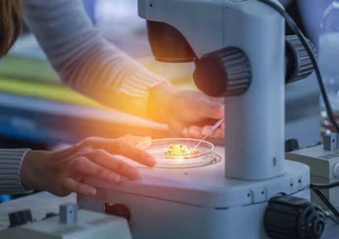 New Tool By MIT & Harvard For Viewing Cellular Organization of Tissues