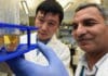 Pathway That Helps Us Make Antibodies Explained By Scientists Pathway That Helps Us Make Antibodies Explained By Scientists