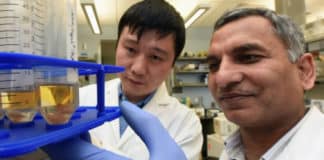 Pathway That Helps Us Make Antibodies Explained By Scientists