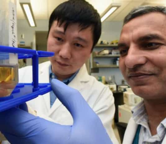 Pathway That Helps Us Make Antibodies Explained By Scientists