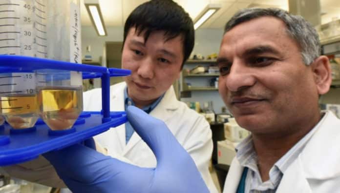 Pathway That Helps Us Make Antibodies Explained By Scientists