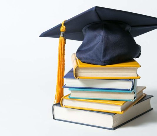 Ravi Sankaran Fellowship Program 2019