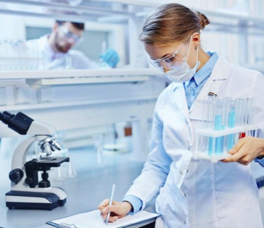 Research Scholars Program 2019