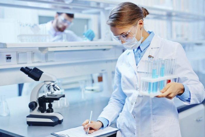 Research Scholars Program 2019