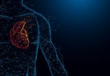 Researches Target acyl-CoA Level For Treating Heart Failures