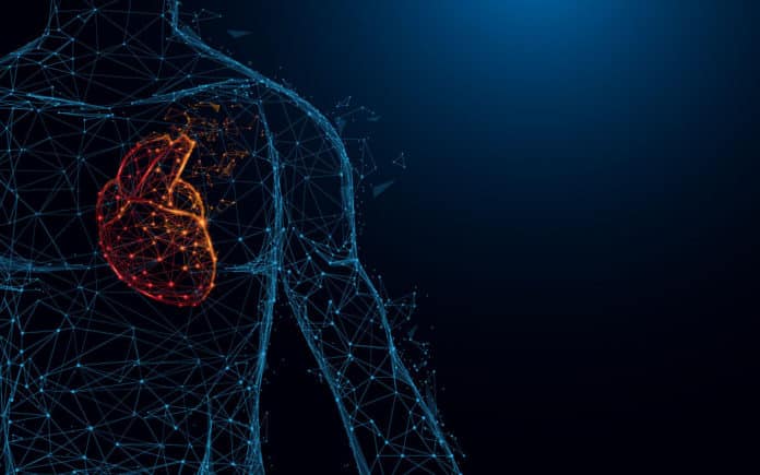 Researches Target acyl-CoA Level For Treating Heart Failures