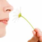 Stem Cells May Help Restoring Sense of Smell - Tufts University