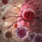 Why Some Cancer Cells Die With Treatment & Others Don't